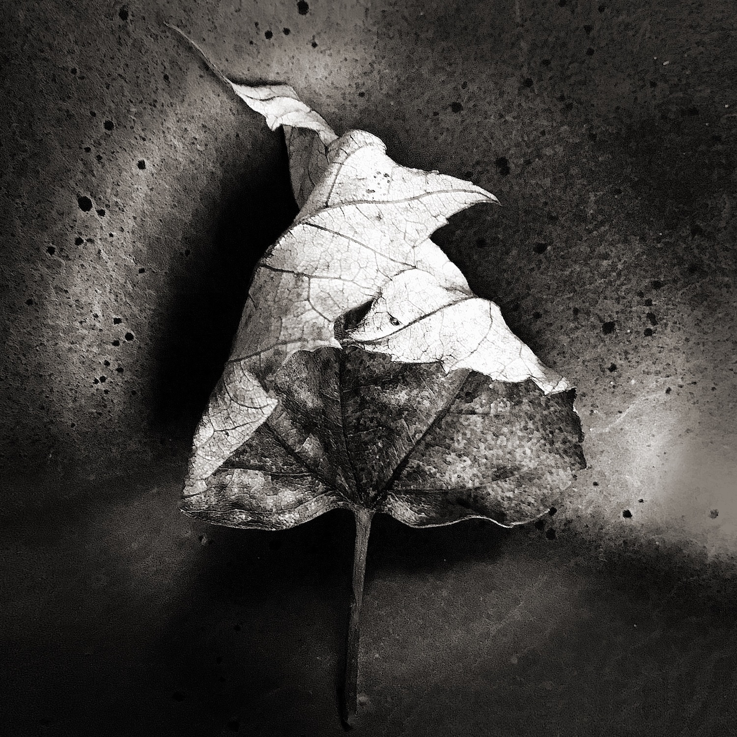 Feuille 1, 2018