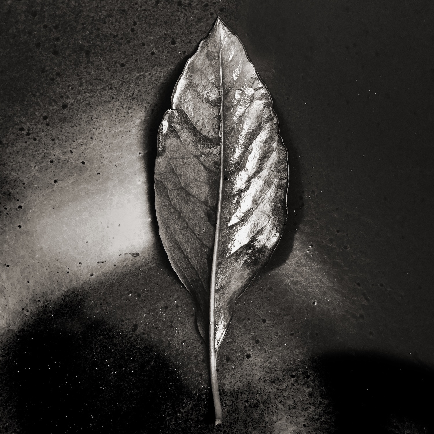 Feuille 2, 2018