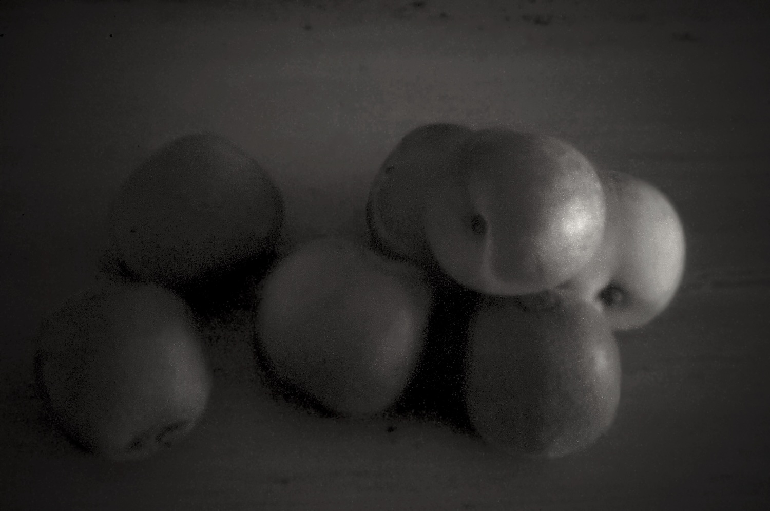 Sténopé - Deux nectarines, deux pêches et trois kiwis, 2015
