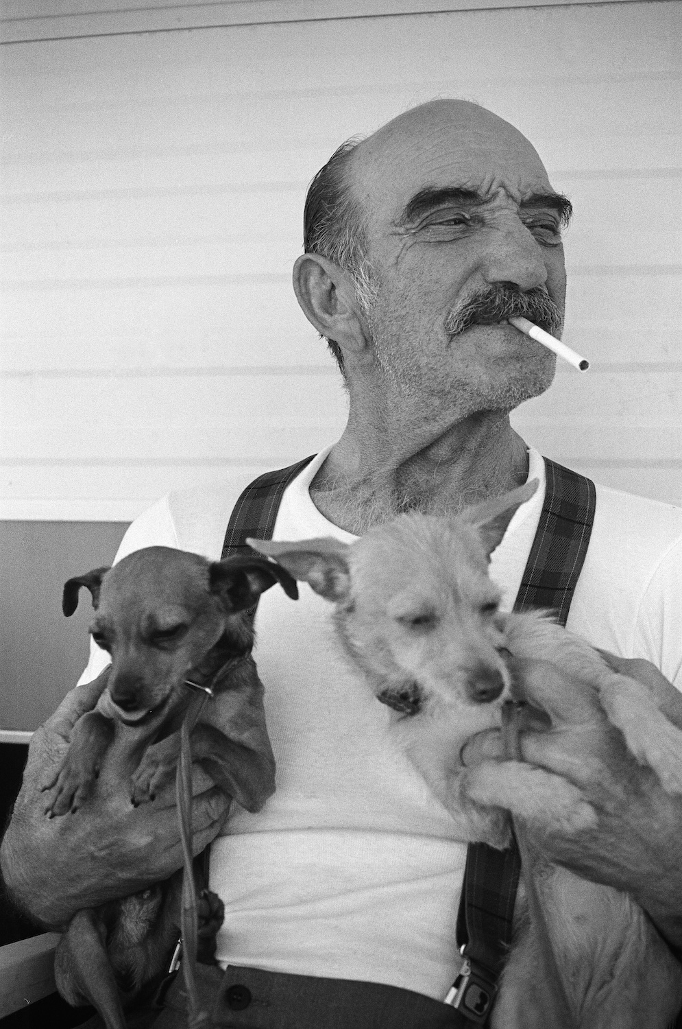 L'homme aux chiens, Cirque national italien, 1988