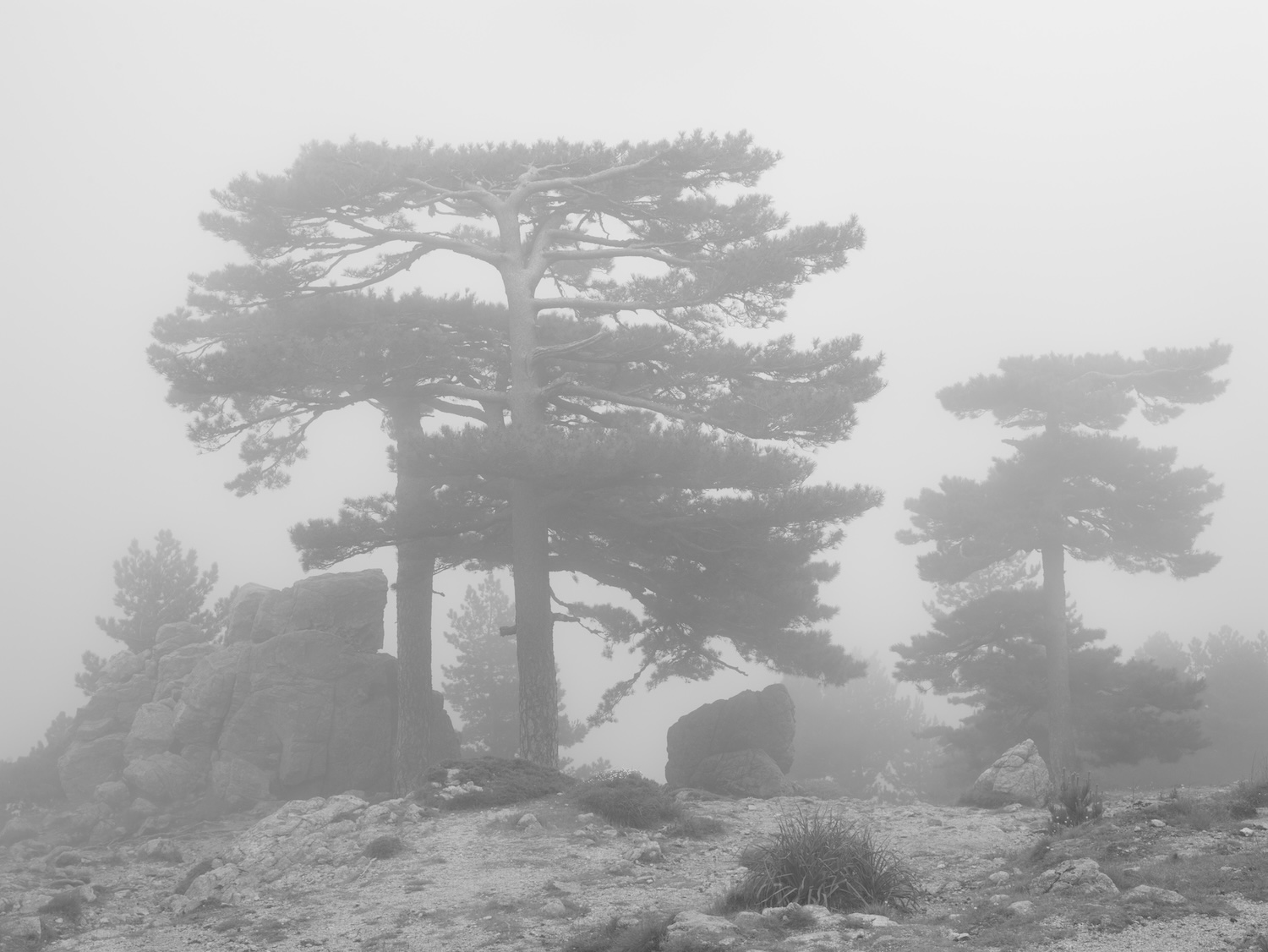 Col de Bavella, Corse
