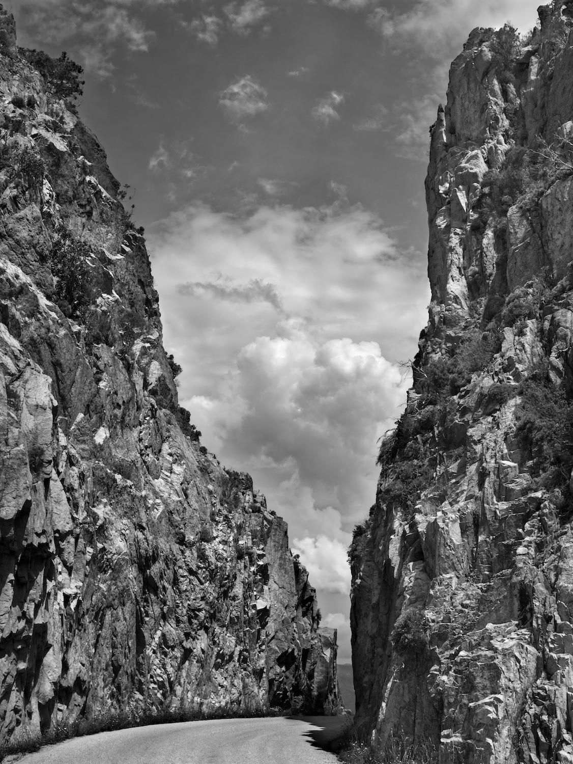 Paysages