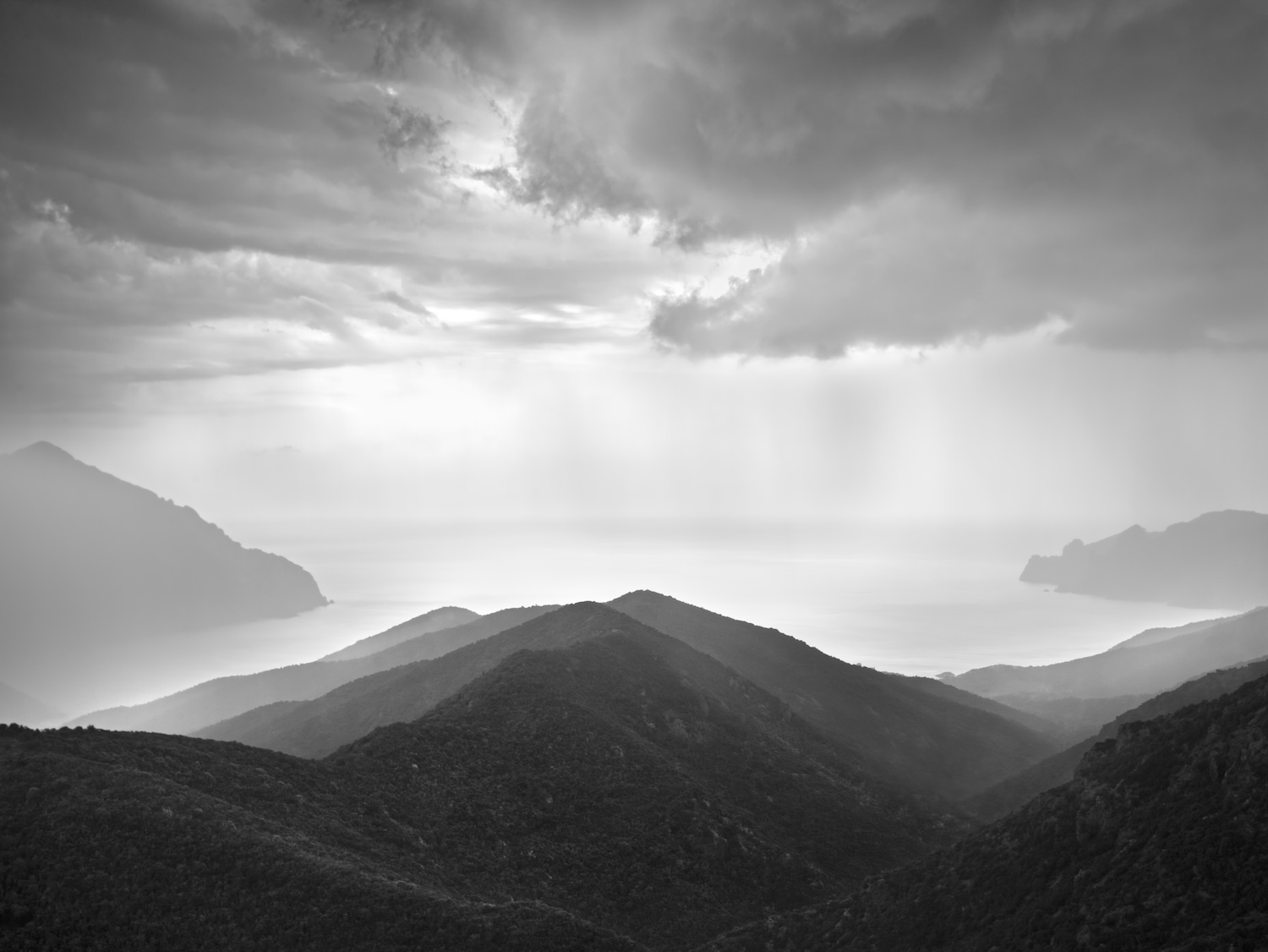 Scandola, Corse